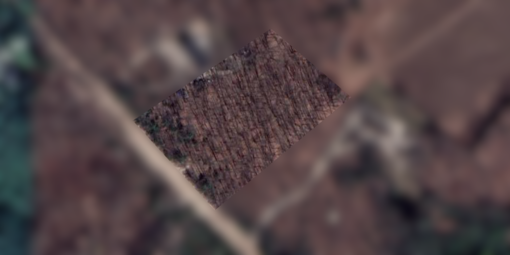 Resl Estate Land Development in Erin close to Brampton